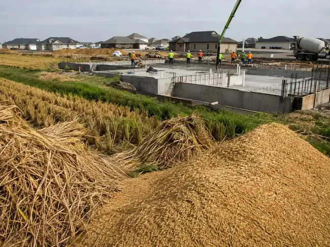 home renovation: How rice husks are helping protect American homes from ...