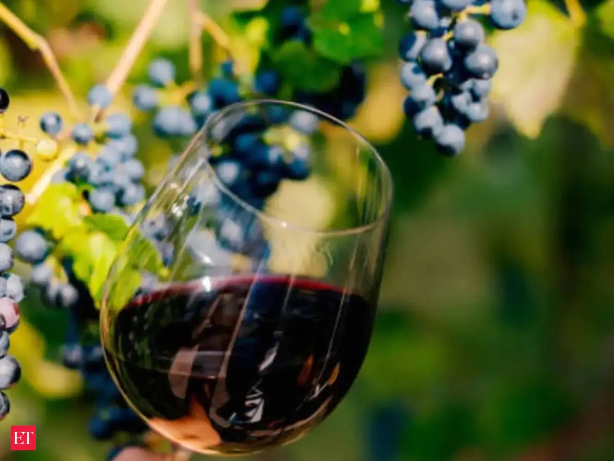 Nashik company ships wine equipment to Italy as Indian market grows