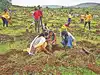 Halt water supply to construction projects, raise aid for drought-hit farmers: NCP (SP) to govt