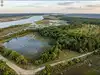 Cox Enterprises conservation deal: Why 4,400 acres at South Carolina's Clarendon Farms will remain wild