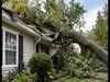 state farm insurance dispute: Latest News & Videos, Photos about state ...