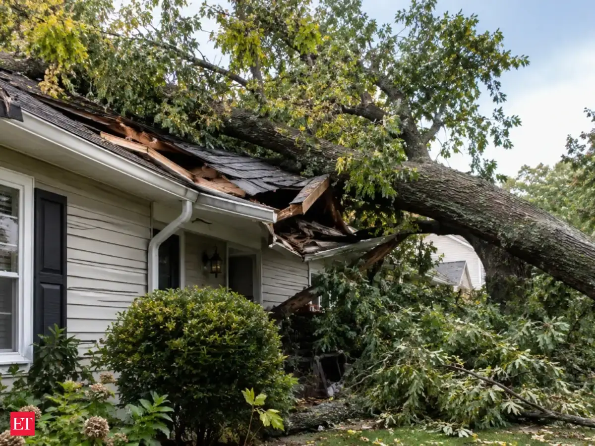 Tree fell on their US home, but why did insurance reject their $85,000 claim? A court ruling reveals the costly mistake behind the dispute