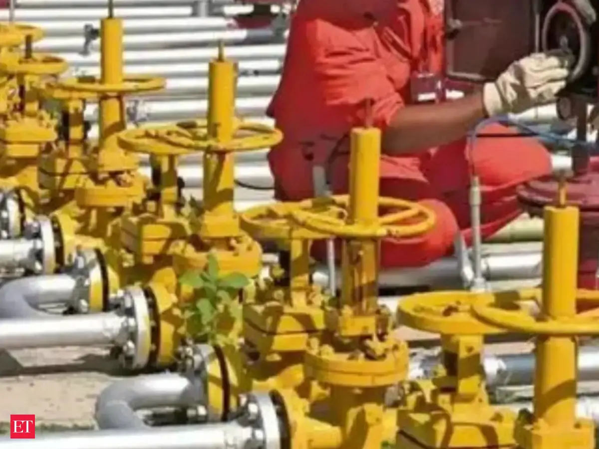 Mizoram to get piped cooking gas by 2028, ₹491 crore pipeline underway