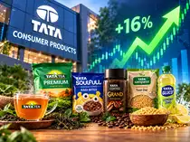 Tata Consumer shares in focus as Q2 net profit rises 16% YoY. Why Jefferies, other brokerages are bullish despite target price cuts<br>
