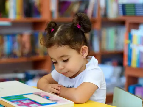  It Is The Best Time For Memory And Learning
