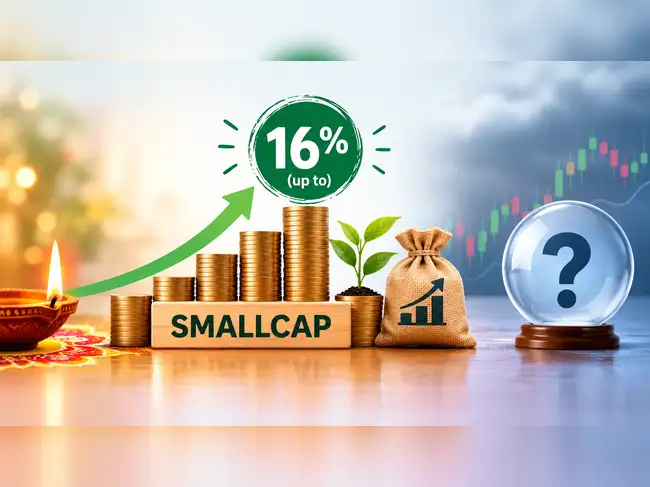 Smallcap mutual funds are best performing funds with up to 16% return since last Diwali. Will it last?<br>