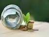 Parag Parikh Flexi Cap among top 9 flexicap funds with highest risk-adjusted returns. Check details