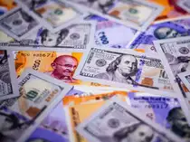 Indian lenders defer dollar debt sale plan as rates turn expensive