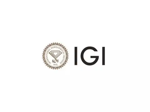 International Gemological Institute