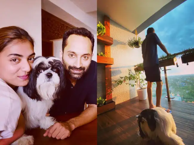 Inside Fahadh Faasil-Nazriya Nazim’s Kochi home: a plant-filled balcony ...