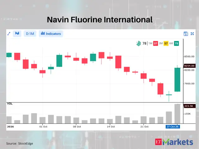 Navin Fluorine International