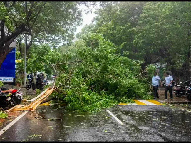 Andhra Pradesh Weather Today: Cyclone Arnab brings heavy rain, strong ...