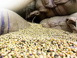 SOPA raises kharif 2025 soyabean estimate