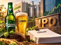Tuborg maker Carlsberg India moves closer to IPO, files updated DRHP for complete OFS issue<br>