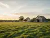 gsa revocable trust and westbridge: Latest News & Videos, Photos about ...
