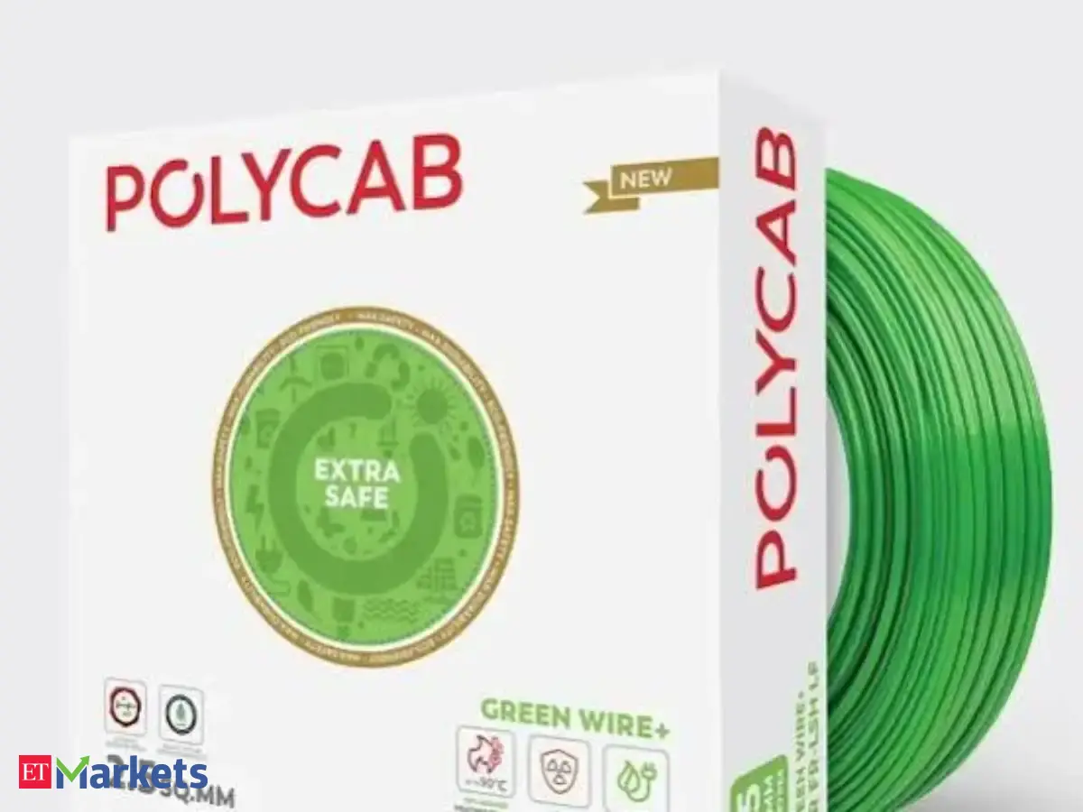 MSCI puts Polycab exit on hold amid insolvency case uncertainty