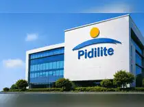Pidilite Industries reports 7% YoY growth in net profit to Rs 626 crore<br>