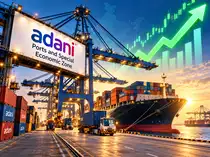 Adani Ports shares rise 3% after Q2 results. Why did Jefferies and Nomura raise target prices?<br>