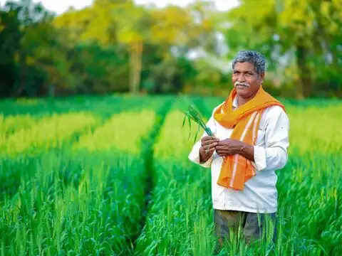 Which farmers may not receive the PM-KISAN instalment?