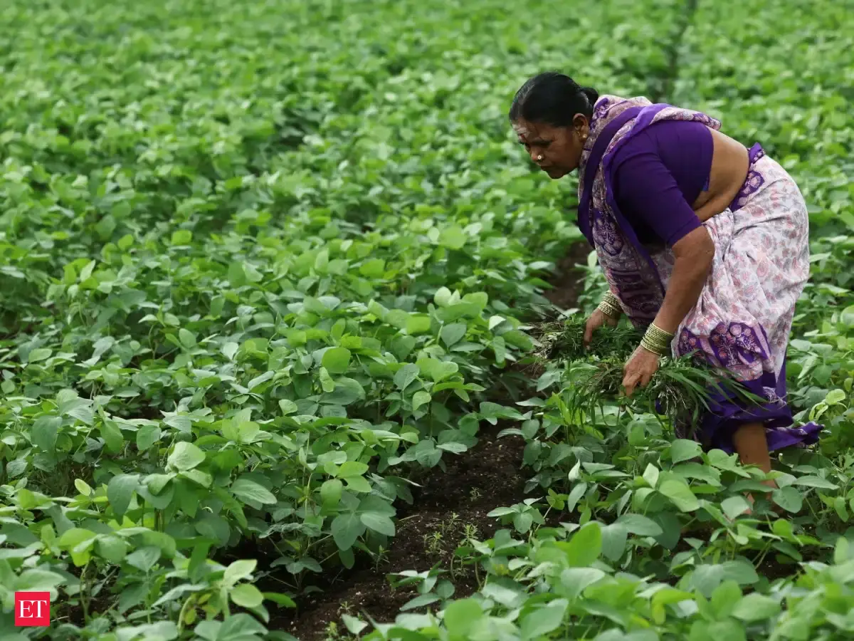 IIT Kharagpur and Absolute launch Smart Scout AI project for soybean farming