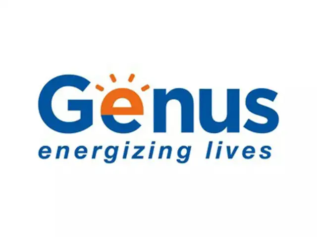 ​Genus Power (Target price: Rs 320)