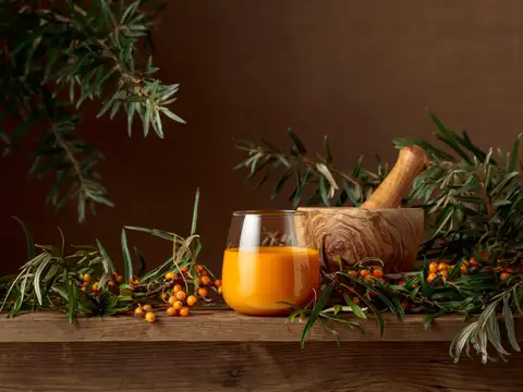 How GI-tagged seabuckthorn can support Ladakh&rsquo;s local economy