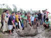 Male elephant found dead in forest range