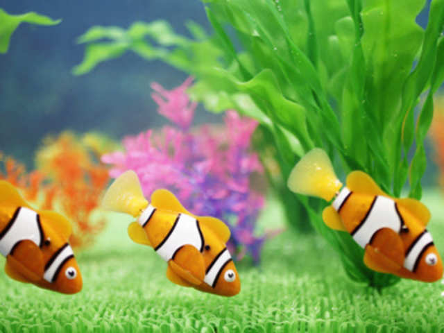 Lifelike toy fish named 'Robo Fish' at the International Toy show in Tokyo