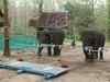 63 elephants die in 2 years in Bengal