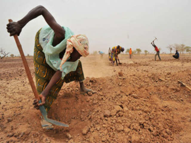 A Nigerien woman digs a trench to collect rainwater