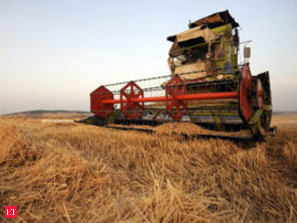 US plays spoilsport, to nix India's wheat export plan - The Economic Times