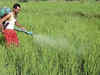 Insecticides India to dilute 7-8% stake to raise Rs100 cr