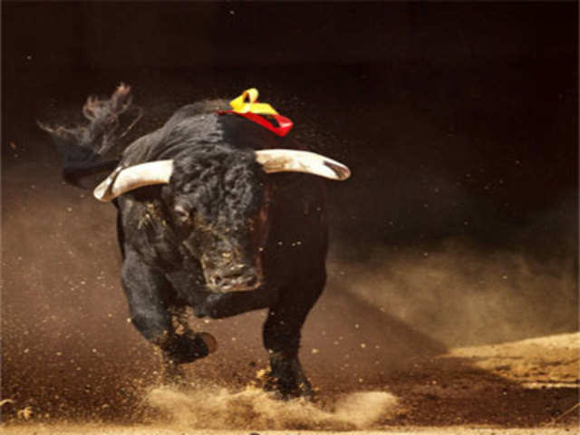 Bullfight at the San Fermin festival