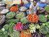 Food inflation likely to be higher: Daiwa MF