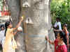 Tree census once the monsoons get over, using GPS