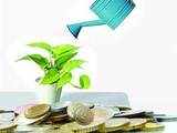 ET Wealth: Invest in both dividend and growth options to cut tax