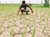 EGoM approves 50% diesel subsidy to drought-hit farmers