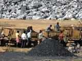 Coal mining threatens forests, tigers: Greenpeace