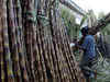 Maharashtra to begin 2012-13 sugarcane crushing season from November 1
