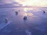 Arctic sea ice at record low, WMO to consolidate data