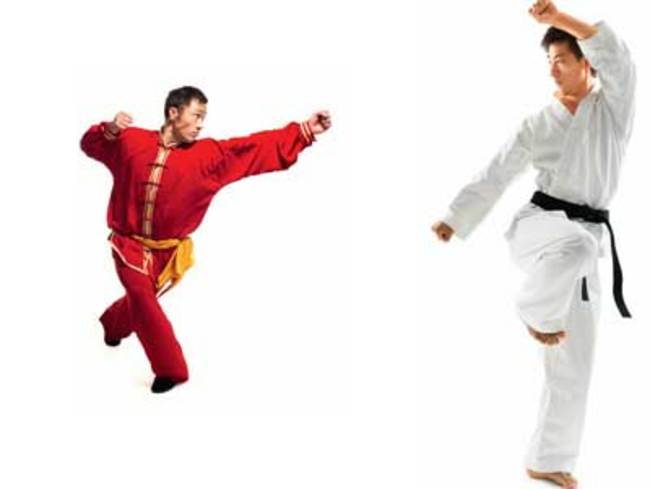 Cocktail conversations: Kung fu vs Karate - The Economic Times