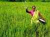 Urea prices hiked by 1%, fertilizer cos not to benefit