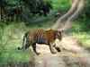 Bandipur Tiger Reserve becomes first tiger reserve to notify its ESZ