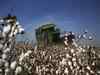 Cotton farmers demand expediting opening procurement centres