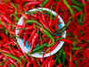Good China crop may spoil chilli exports