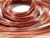 Floor price for Hind Copper stake sale fixed at Rs 155/share