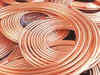 Overwhelming response to Hind Copper shares