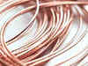 Co to spend Rs 4000 cr in next 5 years: Hind Copper