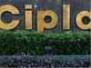 Cipla-Medpro is a marketing tie-up, don’t own any stake in them: S Radhakrishnan, Cipla
