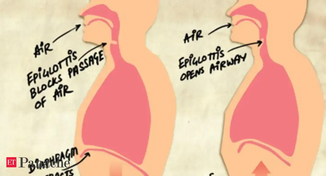 Hiccups How It Works The Economic Times